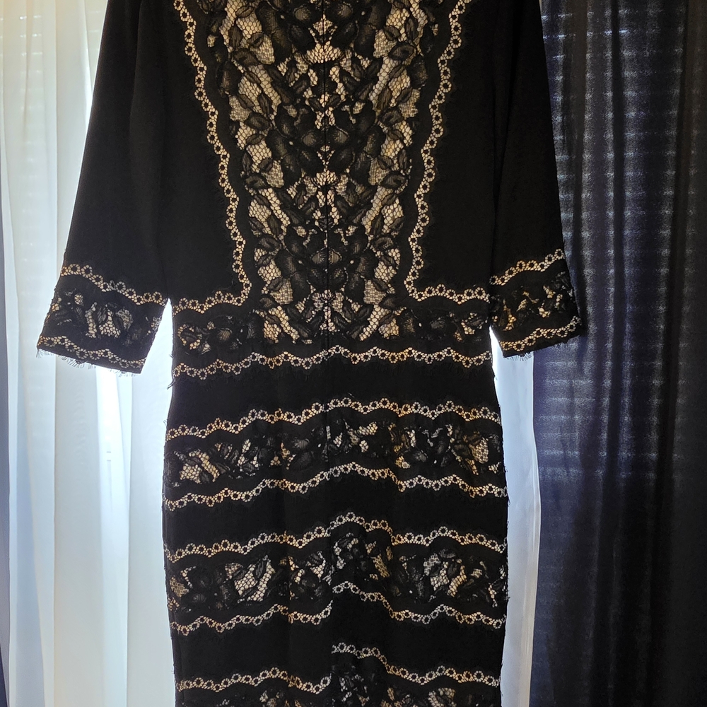 Tadashi Shoji Black and Cream Lace Dress - Picture 3 of 7